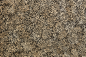Eggshell Snakeskin Black