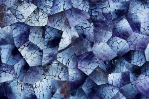 Mussel Shell Blue