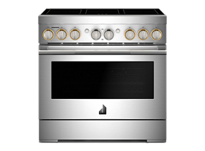 A professional-style induction range