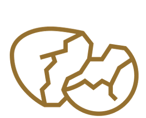 An icon of a broken eggshell.