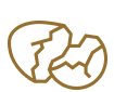 An icon of a broken eggshell.
