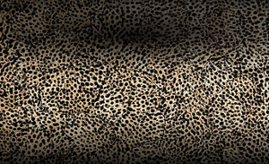 A close up of the Eggshell Snakeskin Black